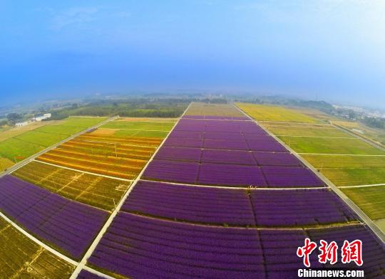 ����ɽ��ͼʵ���ػ������㽭ͩ®�����������»���