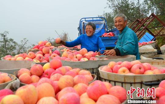 ��ƻ��֮�硱ɽ����ϼƻ��������ʷ����100���꣬Ŀǰ��ϼ��ƻ���������100��Ķ��ũ��������Ҫ���Թ�ҵ����� ��