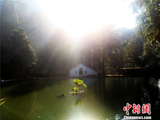 ��������� �ɽ��� ��