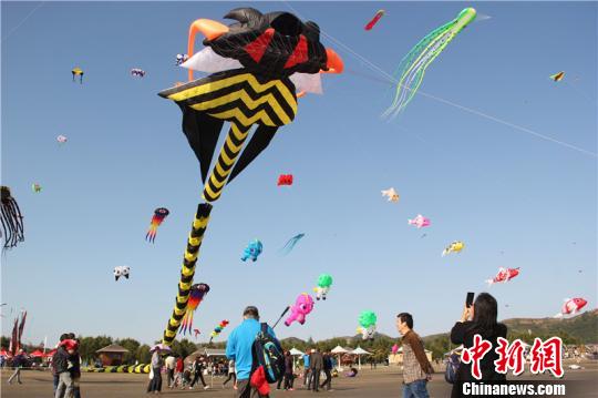 �㽭�����ɵ��ĤΡ�����ЧӦ����Ҽ��ǣ����ҵ��