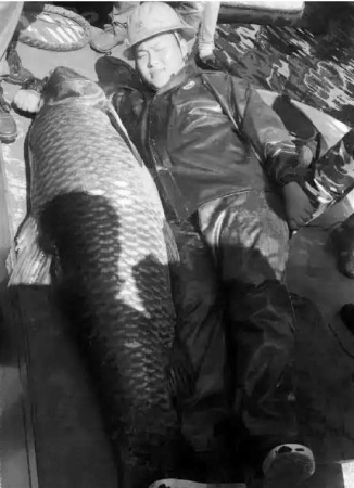 ����ǧ��������180�������˦β�ܴ��γ������ӣ�ͼ��