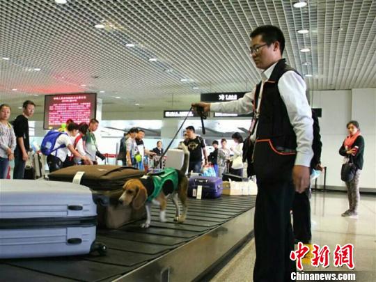 ������������ȮӦ�Թ��ſڰ��¡���ս����ͼ��