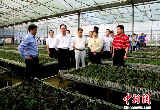 ͼΪ����������ҵ�������޹�˾�������Ĥ�ʯ����ֲ���ء�������÷����