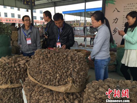 ����¤������������ҩ�Ľ���ɽ�����ѡ�����