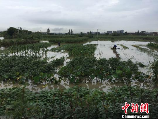 ���ž顱��Ű����40��Ķũ����������ʧ��3.74��