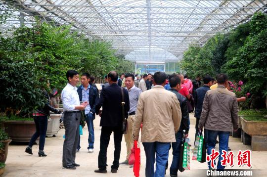 ����������ľ�ڹ���ǰ��Ļ���������ս���Ԫ