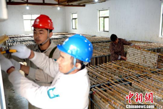 ���ն�̨7.5�򻧲�ũ����ϴء��籣ķ��24Сʱ�غ�