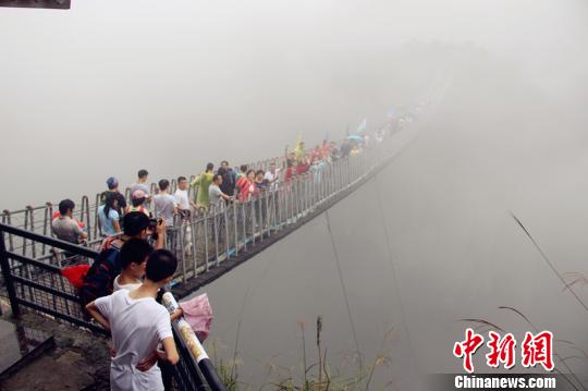 �㽭���ɾ��οͳ�����������������Ա�����¼���