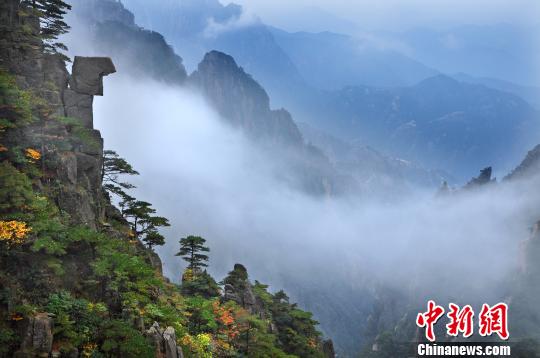 ���Լ�+�������ɡ�ʮҼ����ɽ�γ�������