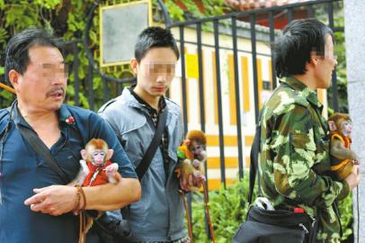 �ɶ�������ο���ǿ���׺������º���10Ԫ����