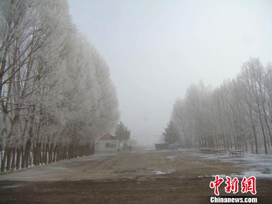 �½����ű���С���ִ�������ڡ׳�����ۣ�ͼ��