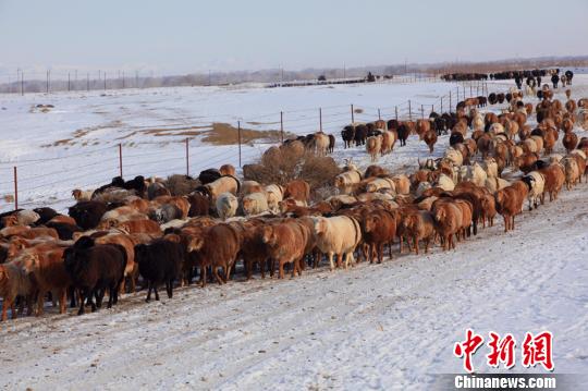 �½�����̩����������������ʼ������ת��