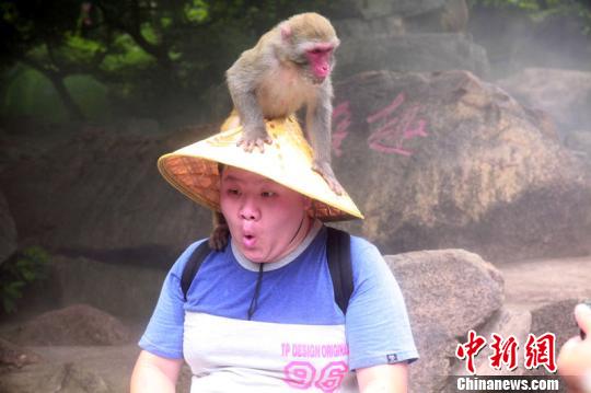 Уý庣Ѱԭ̬Ļͼ