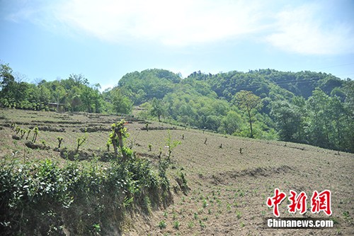 峧Ĥҩֲء<a href=http://www.city28.com target=blank>Ϣ</a>  