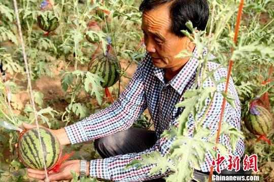 ͼΪ������ƽ�����������߲�ժ���ء��������� ��