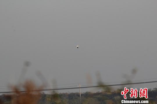 <a href=http://china.city28.com target=blank>й</a>ˮ۶״μ⵽׺