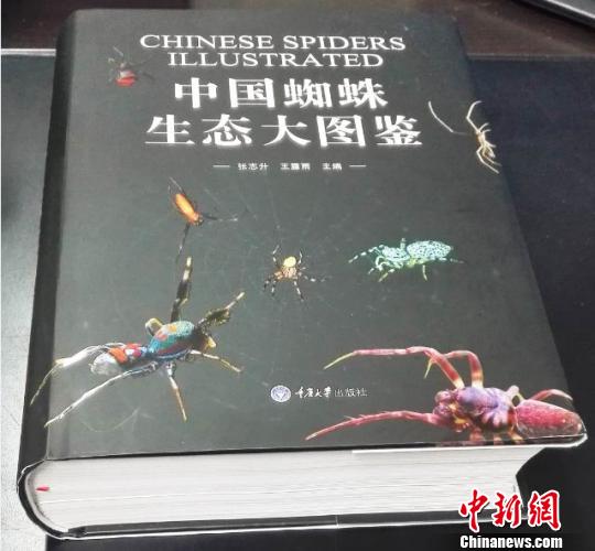 ͼΪгɹ<a href=http://china.city28.com target=blank>й</a>̬֩ͼϴѧ 