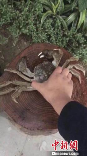 з  